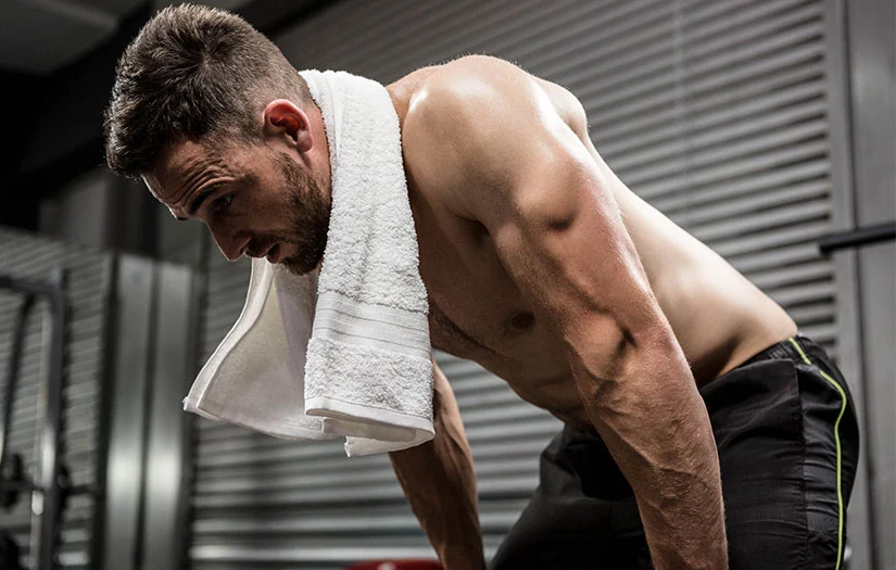 trained athlete during recovery and physiological adaptation